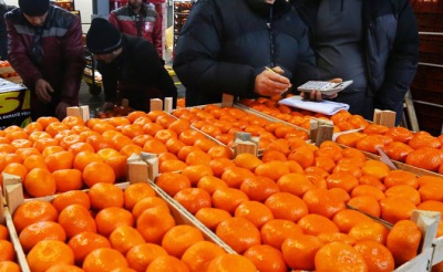 Ռուսաստանը հետ է ուղարկել թուրքական 24.5 տոննա վարակված մանդարինը