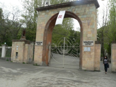 Արտակարգ դեպք Երևանում. թափառող շները հոշոտել են կենդանաբանական այգու եղնիկներին. 2-ը սատկել են, 3-ը՝ վիրավորվել