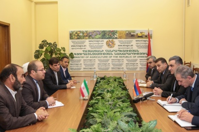 Իգնատի Առաքելյան. Հայաստանն ունի բոլոր նախադրյալները ոչխարաբուծության ճյուղը զարգացնելու համար