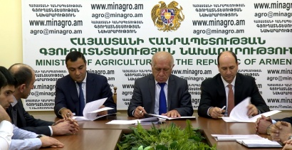 Մեկնարկում են ինտենսիվ պտղատու այգիների, կարկտապաշտպան ցանցերի և կաթիլային ոռոգման համակարգերի ներդրման սուբսիդավորման ծրագրերը