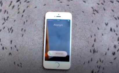 iPhone-ի շուրջ պարող մրջյուններով տեսանյութը բուռն քննարկումներ է առաջացրել համացանցում. ՏԵՍԱՆՅՈՒԹ