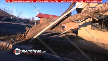 Արտակարգ իրավիճակ Վանաձորի Տարոն 2 և 4 թաղամասերում. երեխաներին դպրոցներից տուն են ուղարկում. ՖՈՏՈՌԵՊՈՐՏԱԺ, ՏԵՍԱՆՅՈՒԹ