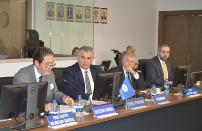 Ստամբուլում տեղի է ունեցել Սևծովյան տնտեսական համագործակցության կազմակերպությունում Հայաստանի նախագահության անդրանիկ միջոցառումը