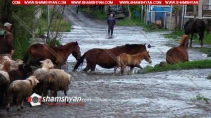 Արտակարգ իրավիճակ Լոռու մարզում. 3 օրվա չդադարող անձրևը գյուղացիներին անհանգստացնում է. նրանց հույսը «Նոյի տապանն է». ՖՈՏՈՌԵՊՈՐՏԱԺ, ՏԵՍԱՆՅՈՒԹ