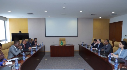 Զոհրան ՄՆացականյանը հանդիպել է Աֆրիկյան միության տնտեսական հարցերով հանձնակատարի հետ. ՏԵՍԱՆՅՈՒԹ