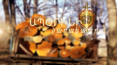 Փայտանյութով բեռնված ավտոմեքենան տեղափոխվեց ոստիկանության Թումանյանի բաժնի պահպանվող հատուկ տարածք