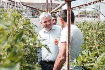Նորարար գյուղատնտեսություն՝ սեփական ձեռքերով. ֆերմերը Սիփանիկում ինքնաշեն ջերմոց է կառուցել. ՖՈՏՈՌԵՊՈՐՏԱԺ