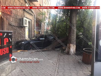 Կասկադյորական վթար Երևանում. 28-ամյա վարորդը Mercedes-ով տապալել է ծառն ու բախվել բնակելի շենքի պատին. ՖՈՏՈՌԵՊՈՐՏԱԺ