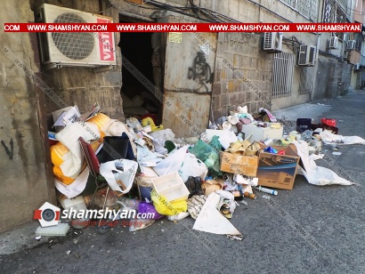 Բնակիչներն ասում էին. «Հույս ունեինք, որ գարշահոտությունը կվերանա, մինչդեռ կուտակված աղբի պատճառով շենքը գրոհում են առնետները, շներն ու կատուները». ՖՈՏՈՌԵՊՈՐՏԱԺ, ՏԵՍԱՆՅՈՒԹ