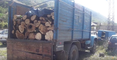 Ոստիկանները ապօրինի ծառահատման հերթական դեպքն են բացահայտել. ՏԵՍԱՆՅՈՒԹ