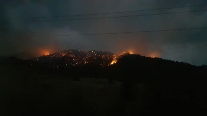 Մեղրու տարածաշրջանի «Արևիք» ազգային պարկում 10 հեկտար գիհու անտառներ են վառվում. ՖՈՏՈՌԵՊՈՐՏԱԺ