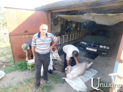 «Կարող է՝ թուրքերը շուն են վարակում, գցում». Սահմանամերձ Աչաջուր գյուղում կասկածում են՝ տնտեսական պատերազմ է հակառակորդը կիրառում. Aravot.am