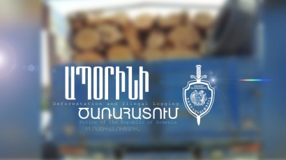 Ապօրինի ծառահատման բացահայտում Սյունիքում․ հարուցվել է քրեական գործ. ՏԵՍԱՆՅՈՒԹ