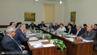 Տեղի է ունեցել Արցախի ԱԺ սոցիալական և առողջապահության հարցերի ու ֆինանսաբյուջետային և տնտեսական կառավարման հարցերի մշտական հանձնաժողովների համատեղ նիստը