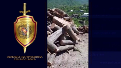 Ապօրինի փայտանյութով արտադրամասեր են հայտնաբերվել․ Տավուշի մարզի ոստիկանների բացահայտումները. ՏԵՍԱՆՅՈՒԹ