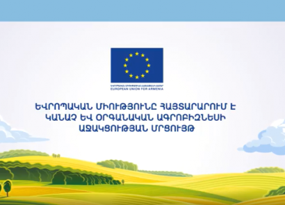 Հայաստանի ֆերմերների ու արտադրողների աջակցության համար հայտարարվել է մրցույթ. ՏԵՍԱՆՅՈՒԹ