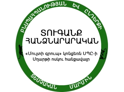 Ընկերությունը հարստացուցիչ ֆաբրիկան և պոչամբարը շահագործել է առանց շրջակա միջավայրի վրա ազդեցության փորձաքննության եզրակացության
