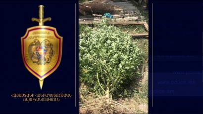 Մասիսի քրեական հետախույզներն ապօրինի թմրաշրջանառության դեպք են բացահայտել. ՏԵՍԱՆՅՈՒԹ