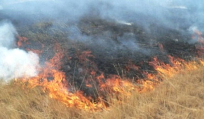 Այրվել է մոտ 2 հա խոտածածկույթ