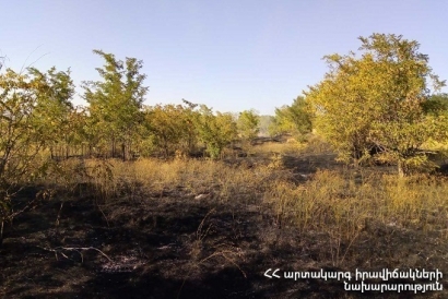 Հրշեջ-փրկարարները մարել են ընդհանուր 6.1 հա տարածքում բռնկված հրդեհները