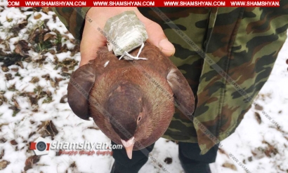 Արտակարգ դեպք Սևանի գաղութում, դատապարտյալներն ասում էին՝ ««Բայրաքթար աղավնուն», իր զինանոցով, զոնում վնասազերծեցին»․ ՖՈՏՈՌԵՊՈՐՏԱԺ