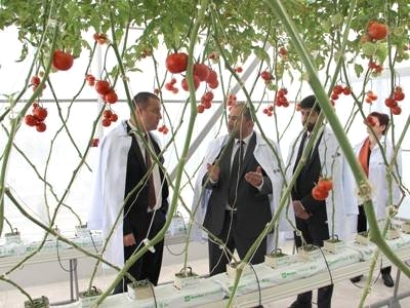 Վահան Քերոբյանը ծանոթացել է Հայաստանի ազգային ագրարային համալսարանում գիտահետազոտական աշխատանքներին