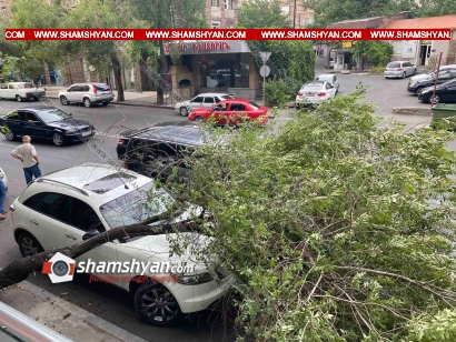 ԲԱՑԱՌԻԿ ՏԵՍԱՆՅՈՒԹ. Երևանում քամու հետևանքով ծառի մի հատված պոկվում և ընկնում է ավտոմեքենաների վրա. ՖՈՏՈՌԵՊՈՐՏԱԺ, ՏԵՍԱՆՅՈՒԹ
