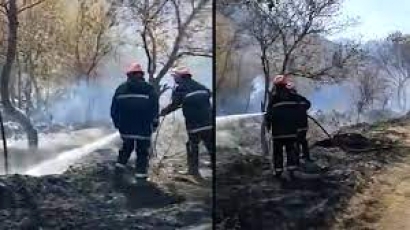 Իրանցի հրշեջները մասնակցել են Մեղրիի անտառային տարածքում բռնկված հրդեհի մարման աշխատանքներին. ՏԵՍԱՆՅՈՒԹ