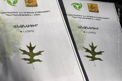 Երևանի կանաչ գոտիների գույքագրումից հետո յուրաքանչյուր ծառ կունենա իր առանձին քարտը, ամենատարեցները՝ նաև անձնագիր