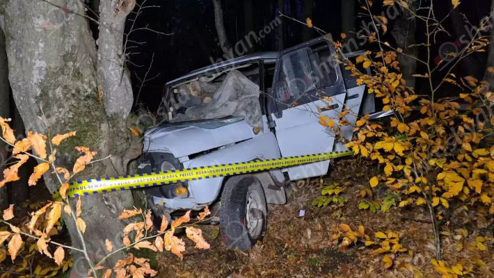 Ողբերգական ավտովթար՝ Տավուշի մարզում. «Վիլիս»-ը Նավուրի անտառում բախվել է հաստաբուն ծառին. ամուսինը տեղում մահացել է. կնոջը պարեկային ավտոմեքենայով տեղափոխել են հիվանդանոց. ՖՈՏՈՌԵՊՈՐՏԱԺ, ՏԵՍԱՆՅՈՒԹ