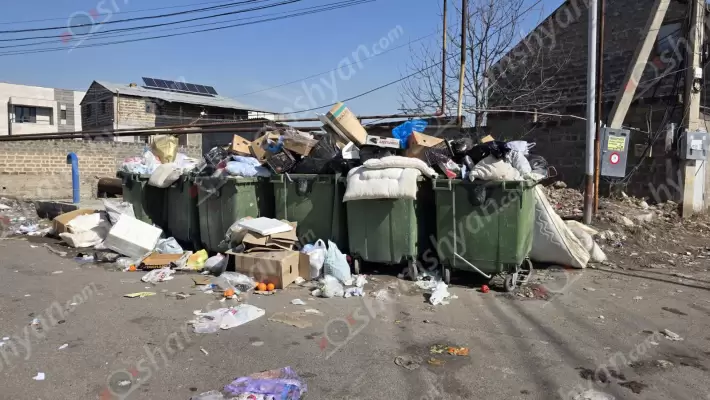 Արաբկիր վարչական շրջանի Ղափանցյան փողոցում բնակիչները համ զգում են չհեռացված աղբի գարշահոտը, համ էլ ավտոմեքենաները վնասում են փլուզված դիտահորի պատճառով. ի՞նչ է մտածում թաղապետը. ՖՈՏՈՌԵՊՈՐՏԱԺ, ՏԵՍԱՆՅՈւԹ