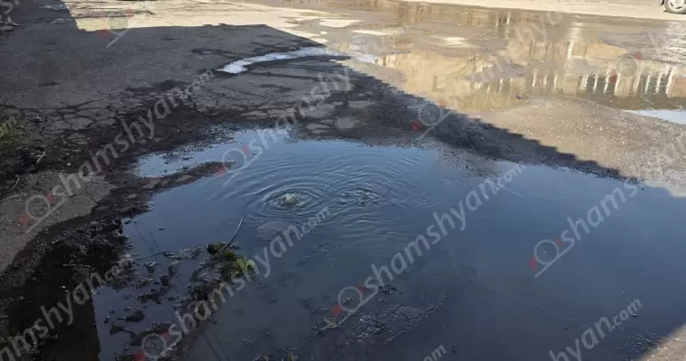 Գարշահոտ և հակասանիտարական վիճակ՝ Աբովյան քաղաքի մի ամբողջ թաղամասում. բնակիչներն ասում են. «Մի քանի անգամ քաղաքապետն է խնդիրը լուծել, բայց նրա գործառույթը չէ, այն պետք է անի «Վեոլիա ջուրը», որը միայն մեր ականջներից լապշա է կախում». ՖՈՏՈՌԵՊՈՐՏԱԺ,ՏԵՍԱՆՅՈւԹ