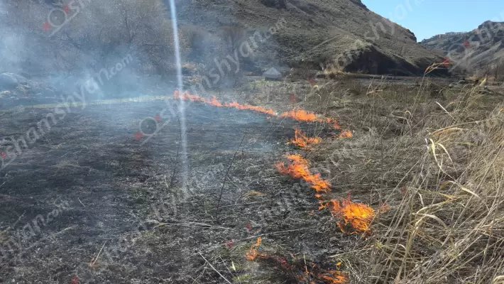 Հրդեհ՝ Կարբիի ձորում. կրակն ընդգրկել է մի քանի հեկտար տարածք. կրակի տարածման դեմ մինչ հրշեջների ժամանումը պայքարում են ձորում գործող հայտնի «Ավանգարդ Կարբի» հանգստյան գոտու աշխատակիցները. ՖՈՏՈՌԵՊՈՐՏԱԺ, ՏԵՍԱՆՅՈւԹ