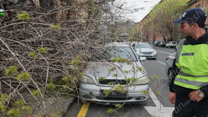 Արտակարգ դեպք՝ Երևանում․ Տնտեսագիտական համալսարանի մոտ հաստաբուն ծառի ճյուղը պոկվել և ընկել է կայանված «Opel»-ի վրա, ինչպես նաև մասամբ փակել հետիոտնի համար նախատեսված մայթը․ ՖՈՏՈՌԵՊՈՐՏԱԺ, ՏԵՍԱՆՅՈւԹ