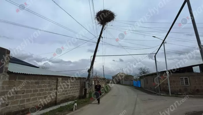 Արարատի մարզի Ջրահովիտ գյուղի բնակիչները խնդրանքով դիմում են ՀԷՑ-ի ժամանակավոր կառավարիչ Ռոմանոս Պետրոսյանին. «Դարն ապրած, ամեն պահի տապալման եզրին կանգնած էլեկտրասյունը մի օր փորձանք է դառնալու բնակիչների ու արագիլների համար». ՖՈՏՈՌԵՊՈՐՏԱԺ, ՏԵՍԱՆՅՈւԹ