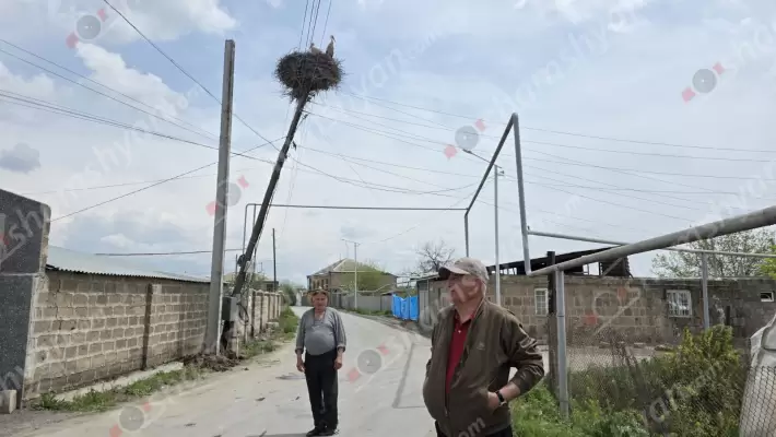 Ջրահովիտում 30 տարուց ավելի տապալման եզրին կանգնած մահաբեր էլեկտրասյունը ՀԷՑ-ի ժամանակավոր կառավարիչ Ռոմանոս Պետրոսյանի հանձնարարականով փոխարինվեց բետոնե էլեկտրասյունով. բնակիչները և փտած սյան գագաթին եղած արագիլներն անվտանգ են. ՖՈՏՈՌԵՊՈՐՏԱԺ, ՏԵՍԱՆՅՈւԹԵՐ