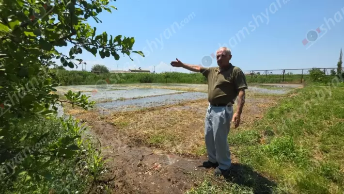 Արտակարգ իրավիճակ՝ Արարատի մարզի Ռանչպար գյուղում. 1 ամիս է՝ ավազահանքերի տերերի ագահության պատճառով գետի «հերն անիծվել է», ինչի պատճառով հարյուրավոր գյուղացիներ կորցրել են տոննաներով բերք, իսկ մեծ թվով տների նկուղներ լցվել են ջրով․ ՖՈՏՈՌԵՊՈՐՏԱԺ,ՏԵՍԱՆՅՈւԹ
