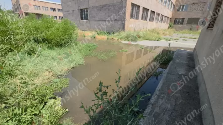 Երևանի թիվ 179 հիմնական դպրոցում, որտեղ հաճախում է մոտ 400 երեխա, գարշահոտ, հակասանիտարական վիճակն ու համաճարակի վտանգը պահպանվում են. ՖՈՏՈՌԵՊՈՐՏԱԺ, ՏԵՍԱՆՅՈւԹԵՐ