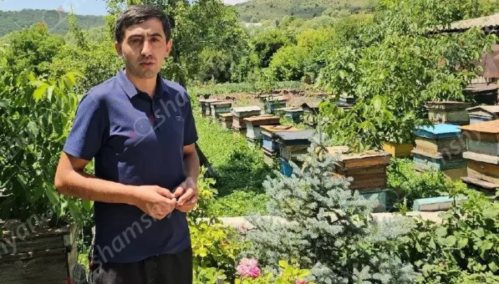 Արդեն 3 տարի արջերը հանգիստ չեն տալիս Կոտայքի մարզի Բուժական գյուղի բնակիչներին. վնասվում են մեղվափեթակները, անասուններն ու պտղատու այգիները, իսկ գյուղացիները գիշերում են դրսում՝ իրենց տնտեսությունը պաշտպանելու համար․ ՖՈՏՈՌԵՊՈՐՏԱԺ, ՏԵՍԱՆՅՈՒԹ