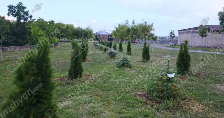 Արզնի բնակավայրում տարիներ շարունակ հակասանիտարական վիճակում գտնվող ու աղբավայր հիշեցնող հատվածը ամբողջությամբ վերածվել է բնության գողտրիկ անկյան, որը կրում է հերոսների անունները.  ՖՈՏՈՌԵՊՈՐՏԱԺ, ՏԵՍԱՆՅՈՒԹԵՐ