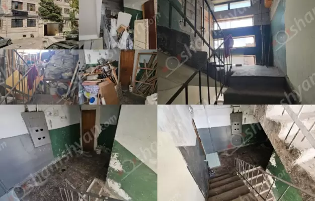 Մինչև Տիգրան Ավինյանը չխառնվեց, երկար ու ձիգ տարիներ բազմահարկ շենքում տիրող գարշահոտ ու առնետներով հարուստ աղբի բուրգը չհեռացվեց. որոշ վարչական շրջանների ու համատիրությունների ղեկավարներ պետք է «ականջներին օղ անեն». ՖՈՏՈՌԵՊՈՐՏԱԺ, ՏԵՍԱՆՅՈւԹԵՐ