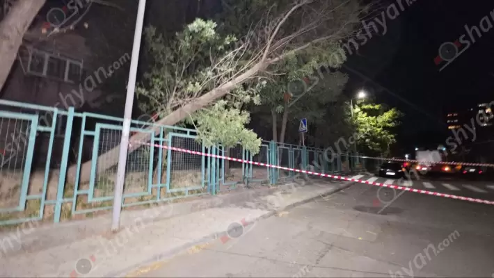 Արտակարգ դեպք՝ Երևանում. Դավթաշենի թիվ 60 մանկապարտեզի տարածքում արմատից չորացած ծառը կոտրվել է, որը գետնին չի տապալվել՝ շնորհիվ էլեկտրալարերի. ՖՈՏՈՌԵՊՈՐՏԱԺ, ՏԵՍԱՆՅՈւԹ