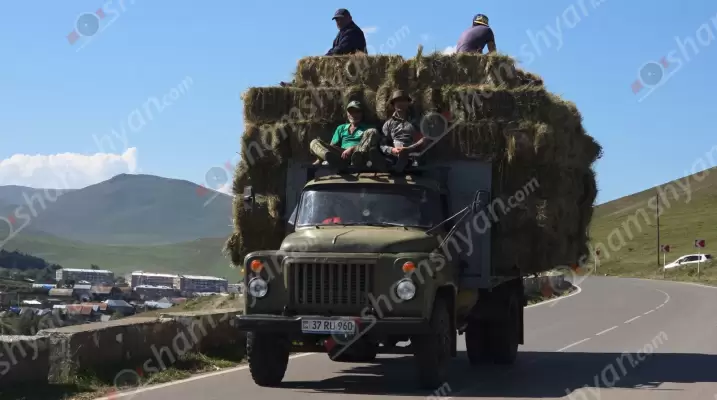 Ճամբարակում խոտով բարձված բեռնատարի վարորդը անվտանգության կանոնները խախտելով տեղափոխում է «4 հրացանակիրներ Աթոսին, Պորտոսին, Արամիսին ու Դարտանյանին». ՖՈՏՈՌԵՊՈՐՏԱԺ, ՏԵՍԱՆՅՈւԹ