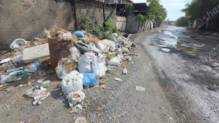Երևանում՝ Շիրակի փողոցում, դիտահորից թափվող կեղտաջրերը ողողել են մի ամբողջ փողոց՝ լցվելով նաև գերեզմաններ. կա համաճարակի վտանգ, իսկ կուտակված աղբը մաքրելու փոխարեն Շենգավիթի թաղապետարանն այն գցում է ԵԱՍՄ-ի վրա. ՖՈՏՈՌԵՊՈՐՏԱԺ, ՏԵՍԱՆՅՈւԹ